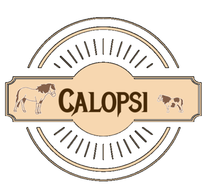 CALOPSI