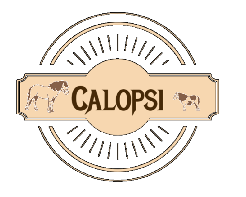 CALOPSI